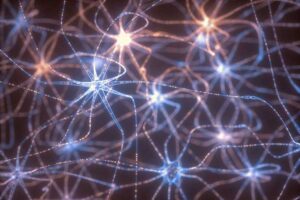 Conduction de l’influx nerveux