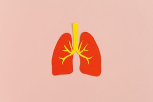 La respiration chez l'espèce humaine